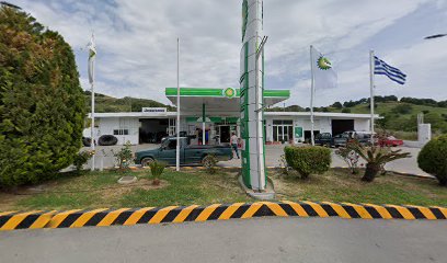 about the store
